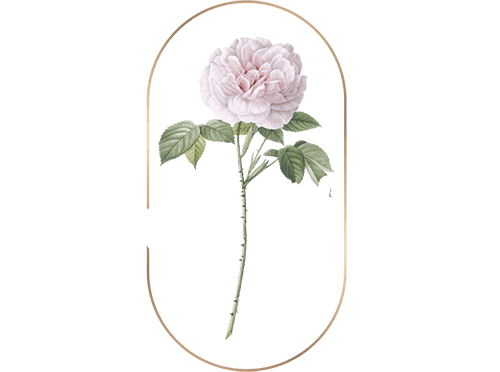 Logo TAZWAR